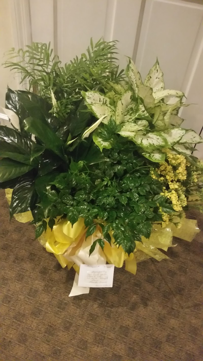 HANCEVILLE NURSING & REHAB CENTER, INC nursing home in HANCEVILLE, AL - Photo 5 of 7