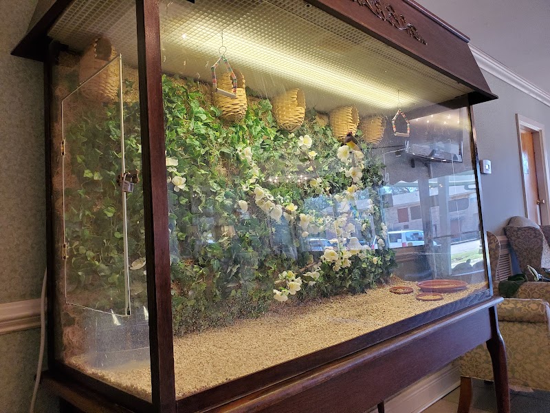 CROWNE HEALTH CARE OF GREENVILLE nursing home in GREENVILLE, AL - Photo 5 of 10