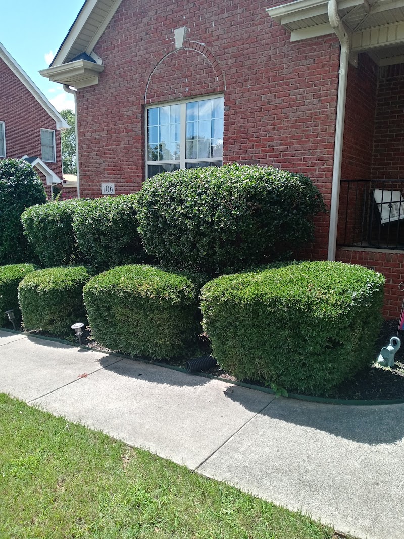 MADISON MANOR NURSING HOME nursing home in MADISON, AL - Photo 3 of 5