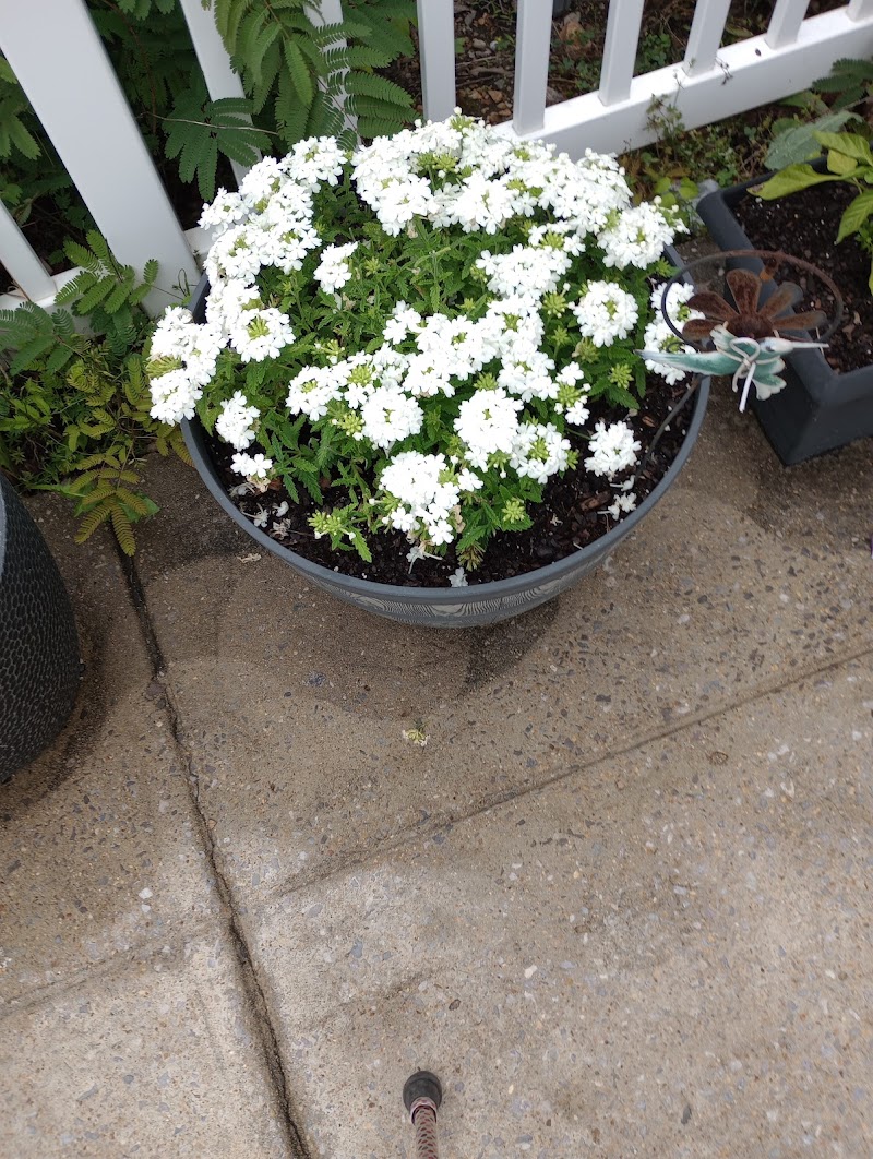 SHELBY RIDGE NURSING HOME nursing home in ALABASTER, AL - Photo 2 of 5