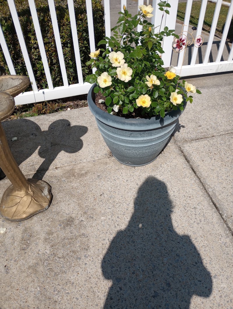 SHELBY RIDGE NURSING HOME nursing home in ALABASTER, AL - Photo 3 of 5