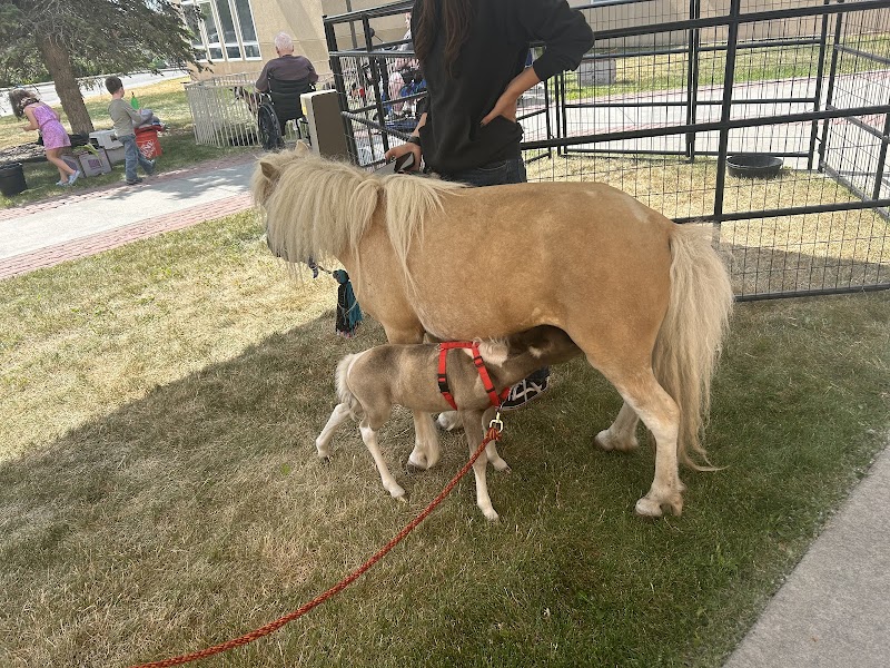 CENTENNIAL POST ACUTE nursing home in ANCHORAGE, AK - Photo 2 of 2