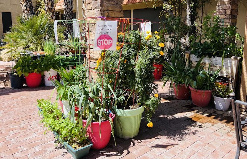 HAVEN HEALTH GREEN VALLEY, LLC nursing home in GREEN VALLEY, AZ - Photo 5 of 5