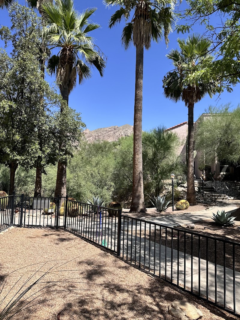 BROOKDALE SANTA CATALINA nursing home in TUCSON, AZ - Photo 5 of 5