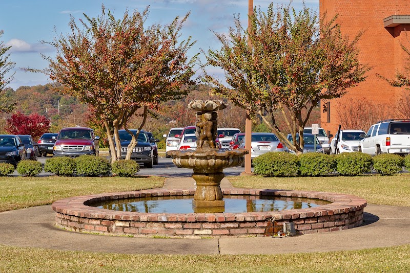 THE BLOSSOMS AT WOODLAND HILLS REHAB & NURSING CEN nursing home in LITTLE ROCK, AR - Photo 5 of 5