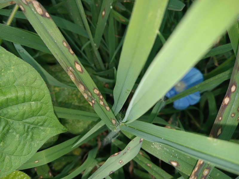 COUNTRYSIDE HEALTH & REHAB OF NEWTON COUNTY nursing home in JASPER, AR - Photo 4 of 5