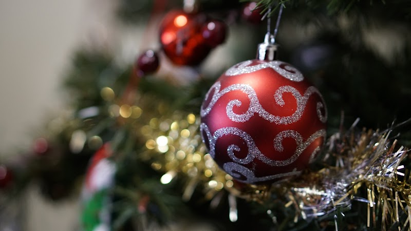 DRIFTWOOD HEALTHCARE CENTER - SANTA CRUZ nursing home in SANTA CRUZ, CA - Photo 4 of 5