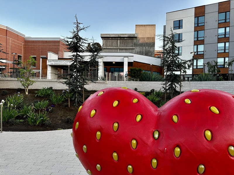 JEWISH HOME & REHAB CENTER D/P SNF nursing home in SAN FRANCISCO, CA - Photo 2 of 5