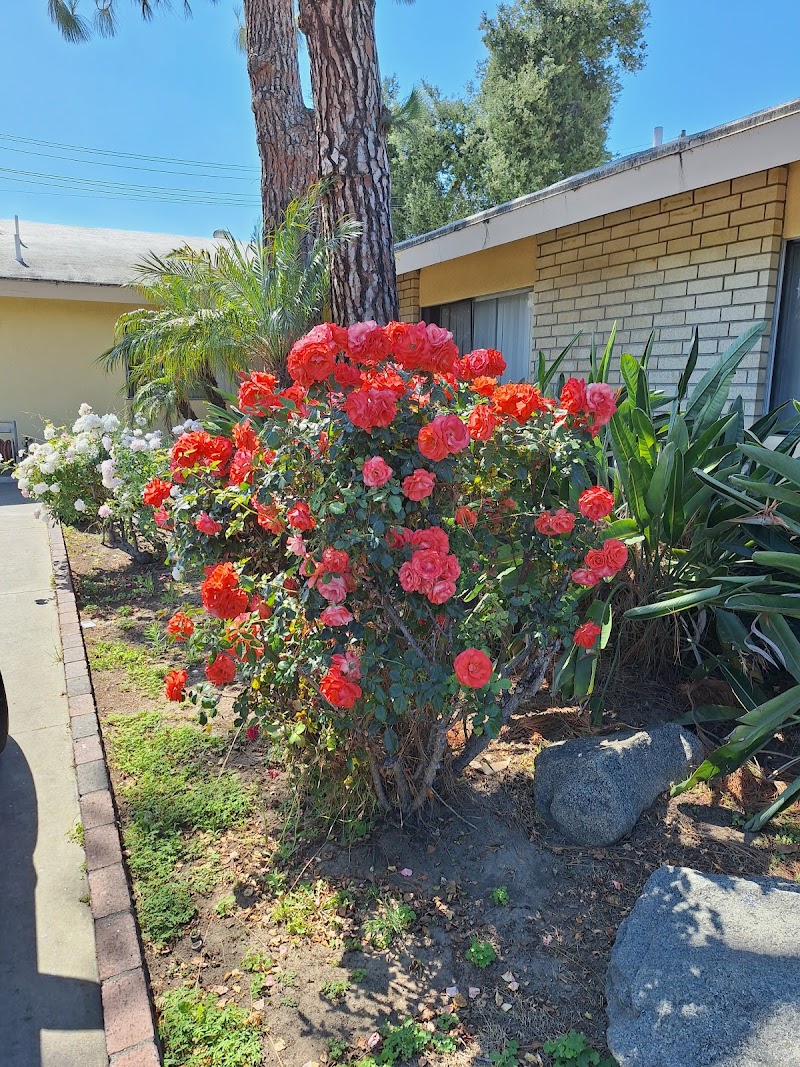 ROSEMEAD HEALTHCARE CENTER nursing home in EL MONTE, CA - Photo 2 of 3