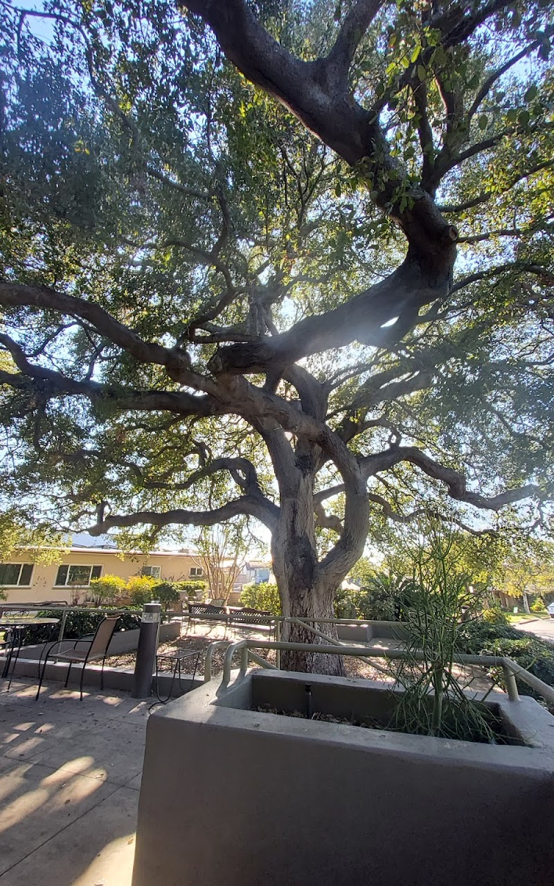 PILGRIM PLACE HEALTH SERVICES CENTER nursing home in CLAREMONT, CA - Photo 5 of 5