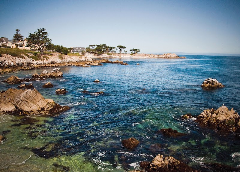 CANTERBURY WOODS nursing home in PACIFIC GROVE, CA - Photo 5 of 10
