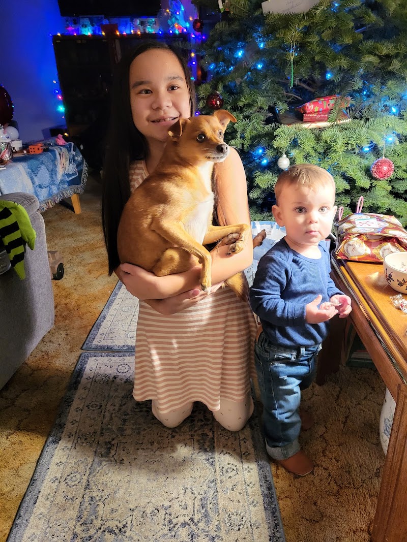 NEWPORT NURSING AND REHABILITATION CENTER nursing home in NEWPORT BEACH, CA - Photo 5 of 5