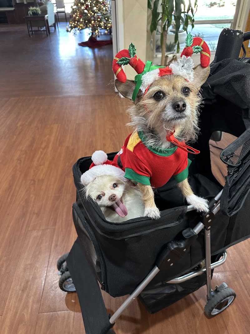 WESTWOOD POST ACUTE nursing home in SAN JOSE, CA - Photo 4 of 5