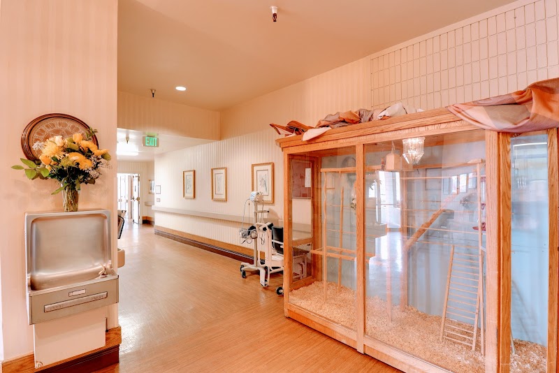 SAN LUIS CARE CENTER nursing home in NEWMAN, CA - Photo 5 of 5