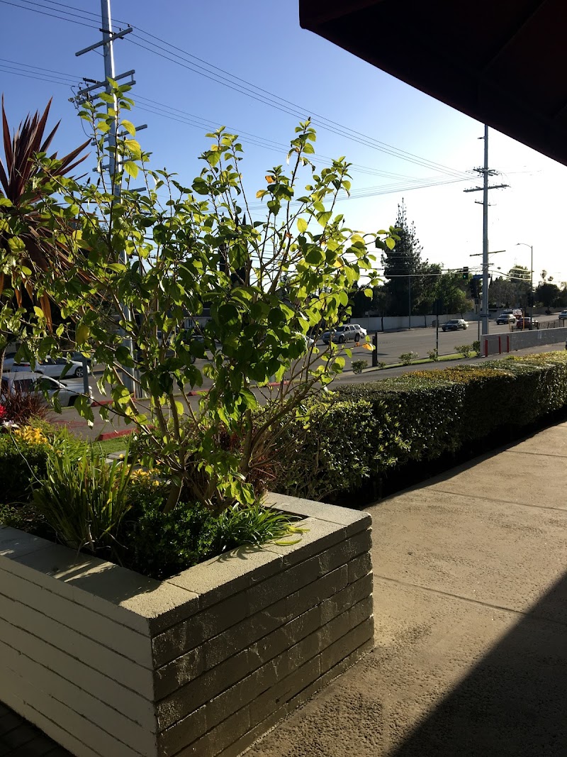 RINALDI CONVALESCENT HOSPITAL nursing home in GRANADA HILLS, CA - Photo 5 of 5