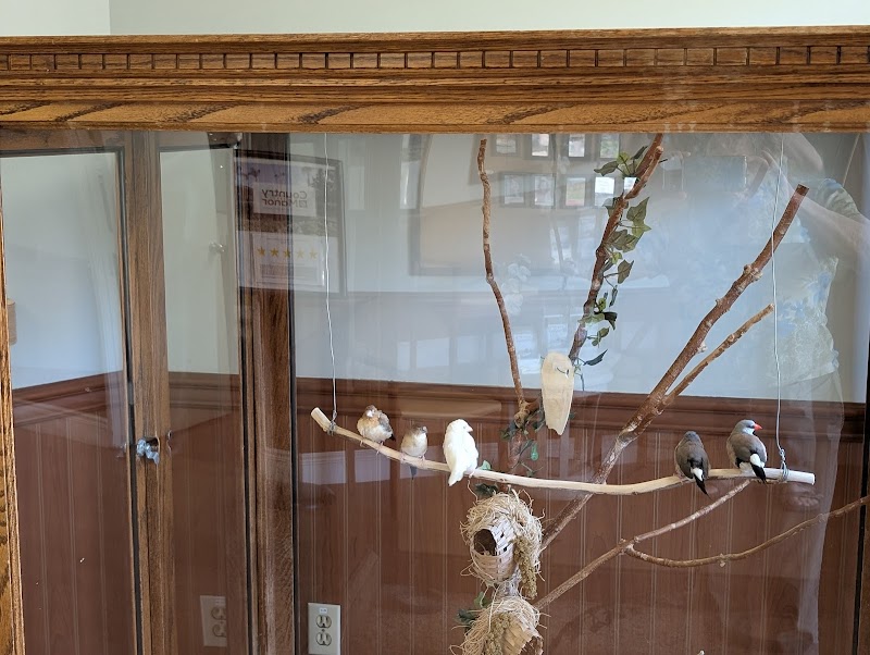 COUNTRY MANOR LA MESA HEALTHCARE CENTER nursing home in LA MESA, CA - Photo 4 of 6