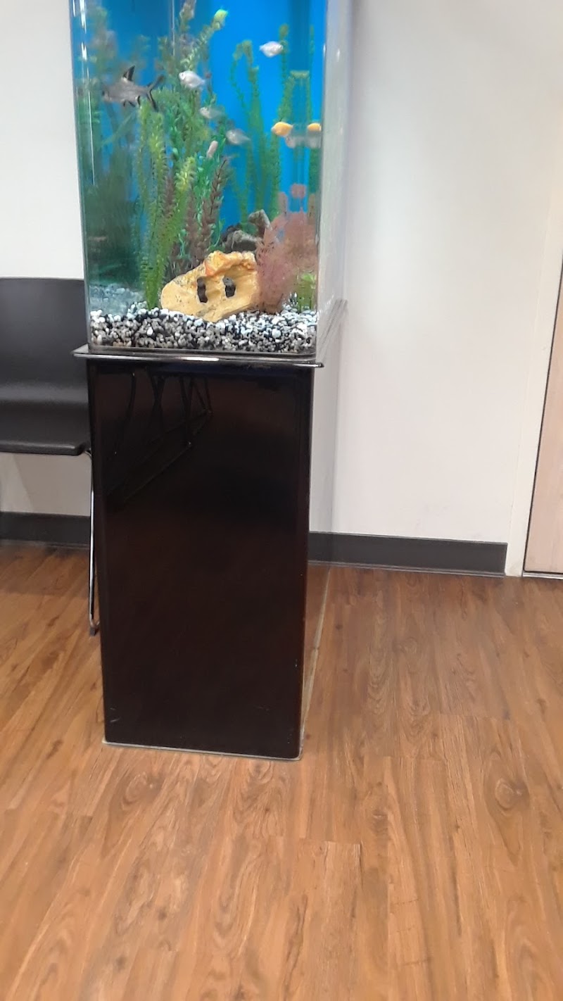 TORRANCE CARE CENTER WEST, INC nursing home in TORRANCE, CA - Photo 3 of 5