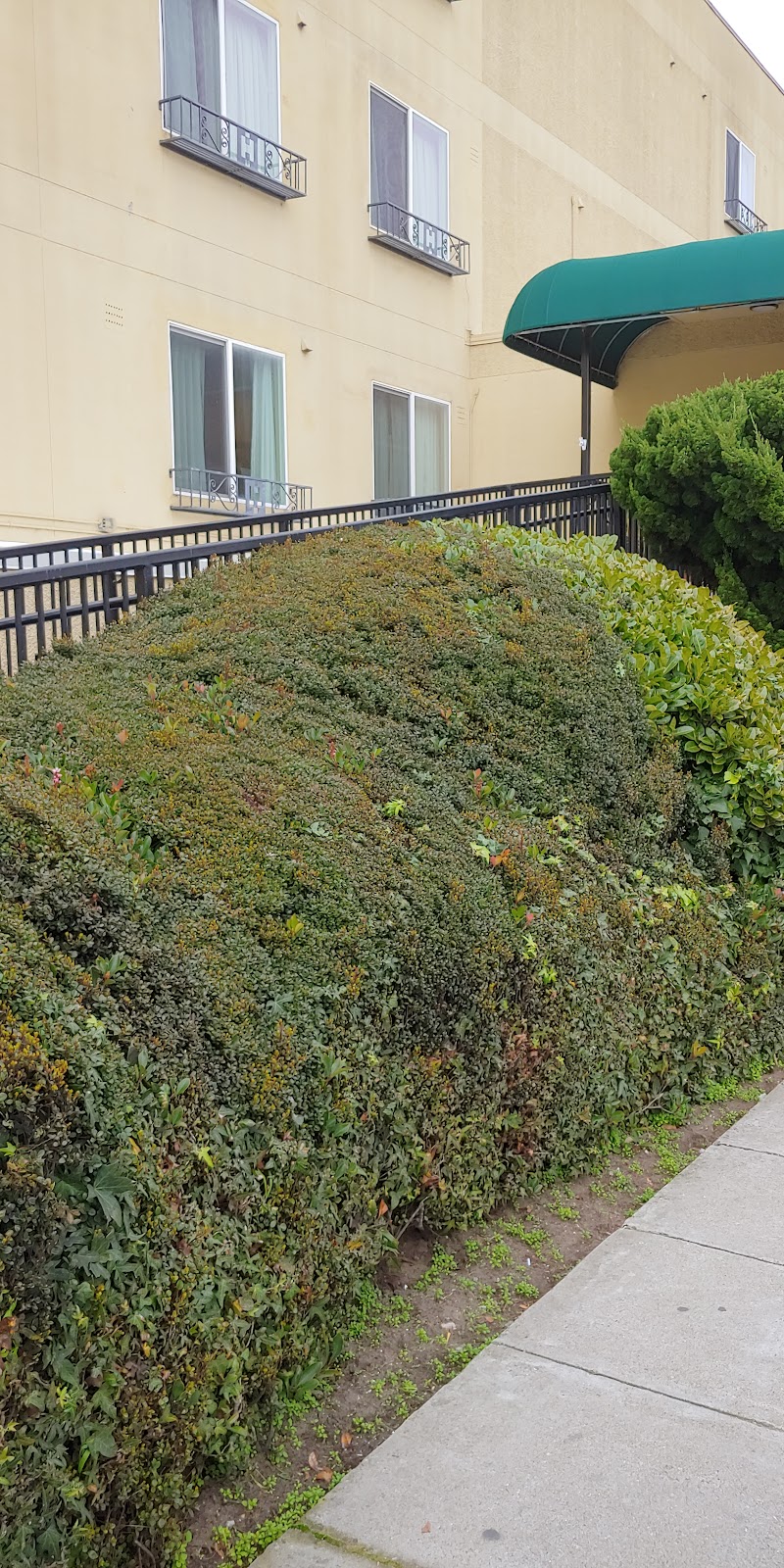 THE AVENUES TRANSITIONAL CARE CENTER nursing home in SAN FRANCISCO, CA - Photo 5 of 9