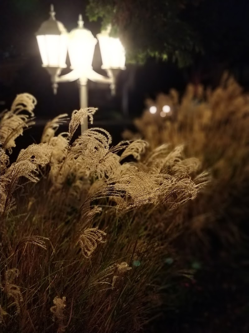 BETHESDA HOME nursing home in HAYWARD, CA - Photo 5 of 6