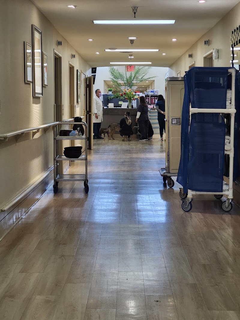 CERRITOS VISTA HEALTHCARE CENTER nursing home in BELLFLOWER, CA - Photo 4 of 5