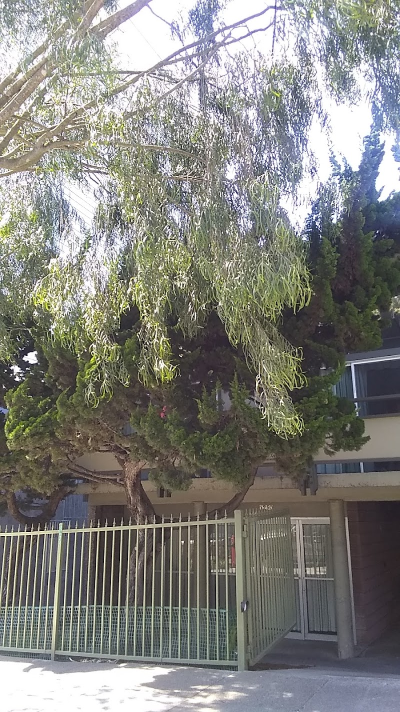 HAYES CONVALESCENT HOSPITAL nursing home in SAN FRANCISCO, CA - Photo 4 of 6