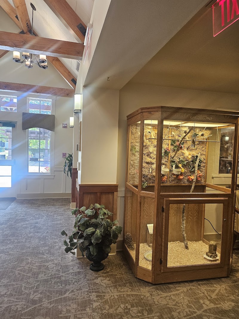 VILLA SIENA nursing home in MOUNTAIN VIEW, CA - Photo 4 of 5