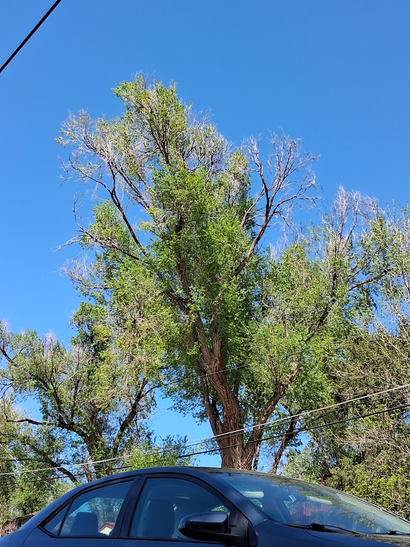 KIOWA HILLS REHABILITATION AND NURSING, LLC nursing home in COLORADO SPRINGS, CO - Photo 5 of 5