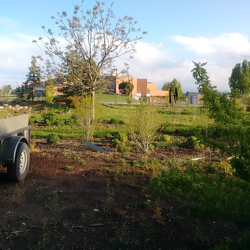 PELICAN POINTE HEALTH AND REHABILITATION CENTER nursing home in WINDSOR, CO - Photo 3 of 5