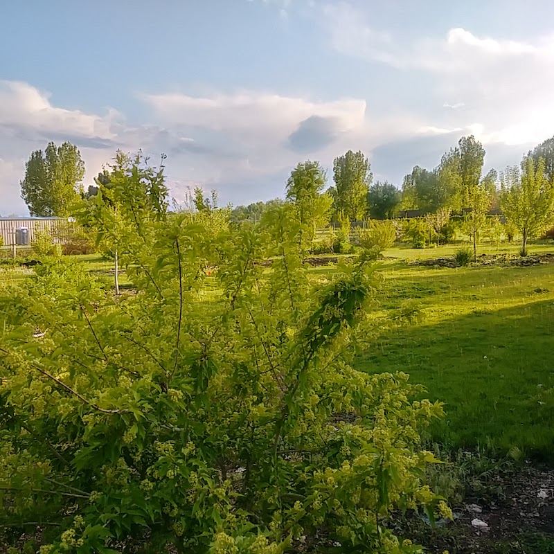 PELICAN POINTE HEALTH AND REHABILITATION CENTER nursing home in WINDSOR, CO - Photo 4 of 5