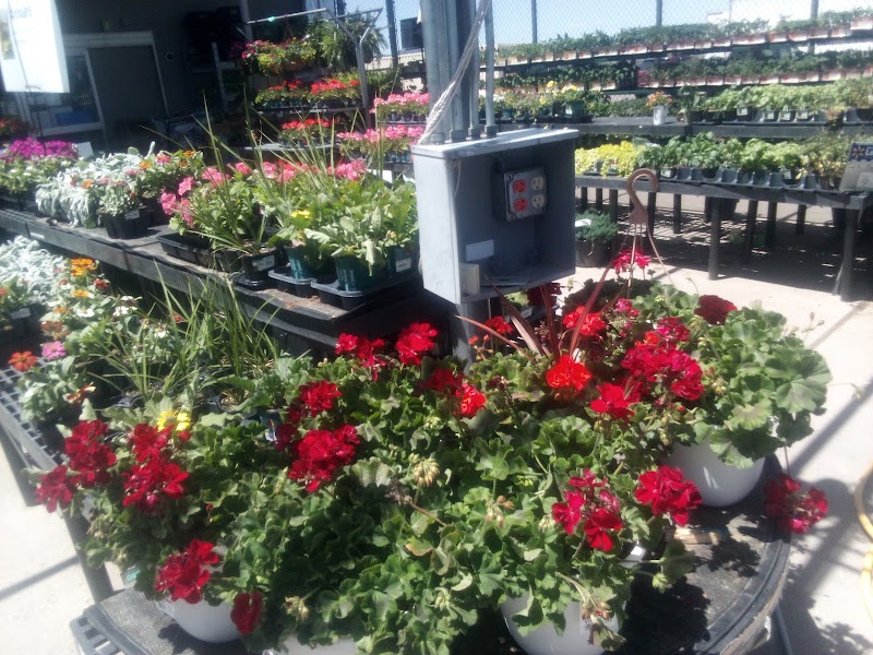 TRINIDAD REHABILITATION AND HEALTHCARE CENTER nursing home in TRINIDAD, CO - Photo 4 of 5