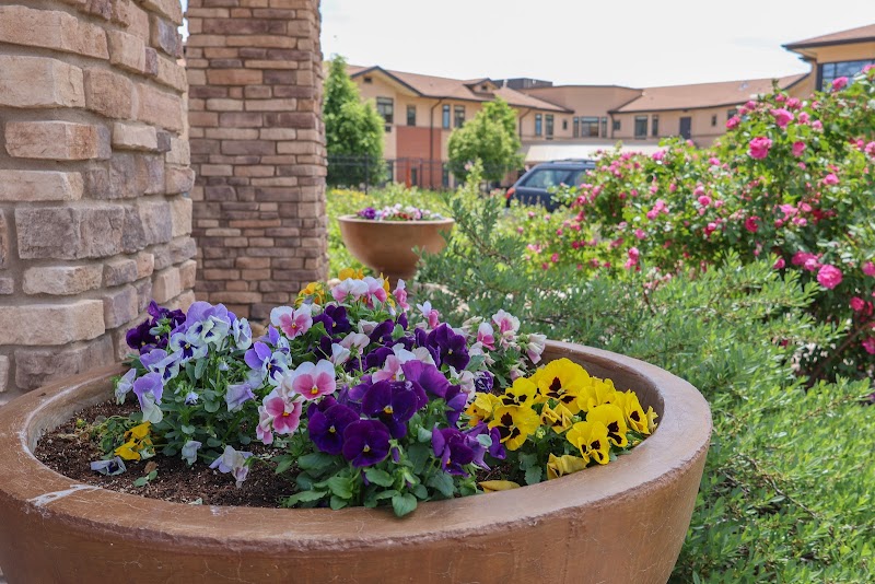 COLUMBINE COMMONS HEALTH & REHAB LLC nursing home in WINDSOR, CO - Photo 3 of 10