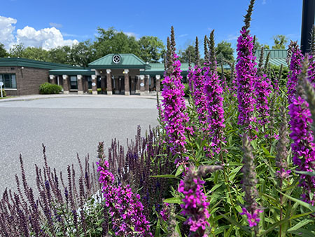 MASONICARE AT BISHOP WICKE HEALTH & REHABILITATION nursing home in SHELTON, CT - Photo 3 of 10