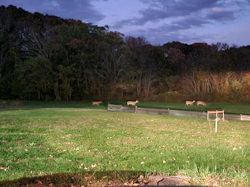 PIERCE MEMORIAL BAPTIST HOME, INC. nursing home in BROOKLYN, CT - Photo 4 of 10