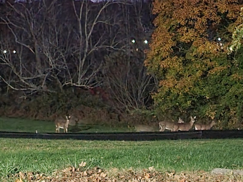 PIERCE MEMORIAL BAPTIST HOME, INC. nursing home in BROOKLYN, CT - Photo 5 of 10