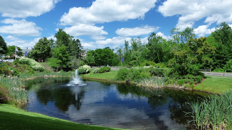 CALEB HITCHCOCK HEALTH CENTER nursing home in BLOOMFIELD, CT - Photo 4 of 10