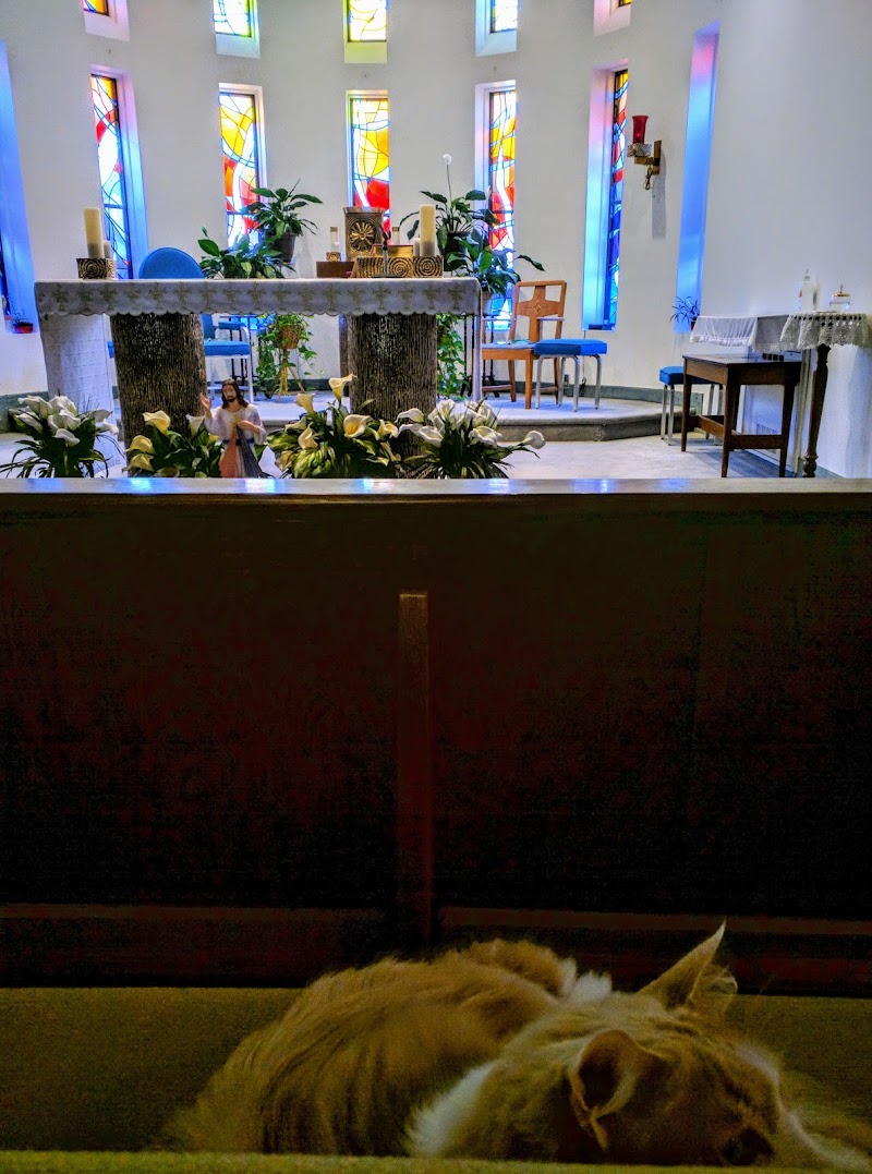 Saint Josephs Living Center, Inc. nursing home in WINDHAM, CT - Photo 5 of 5