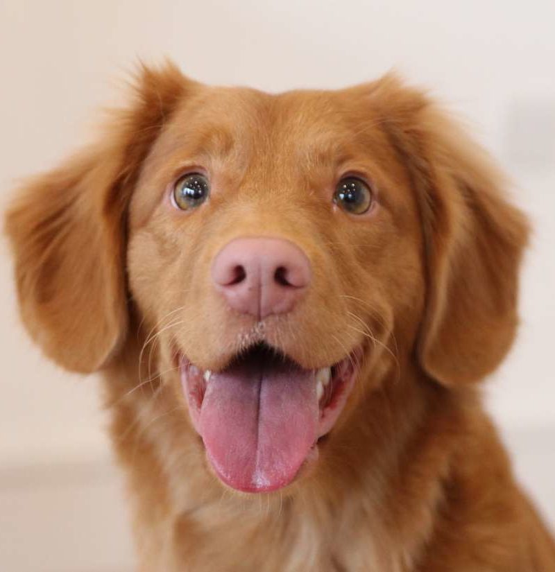 BEECHWOOD HEALTH & REHABILITATION CENTER nursing home in NEW LONDON, CT - Photo 5 of 7