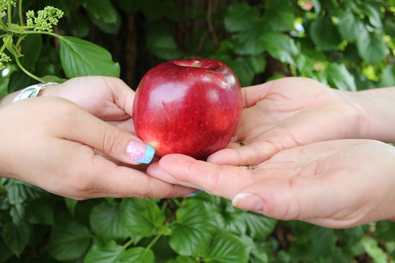 APPLE REHAB AVON nursing home in AVON, CT - Photo 3 of 5