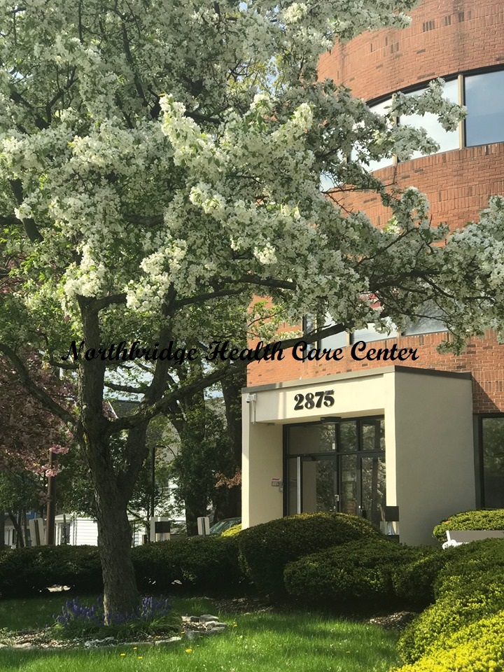 NORTHBRIDGE HEALTH CARE CENTER nursing home in BRIDGEPORT, CT - Photo 2 of 5