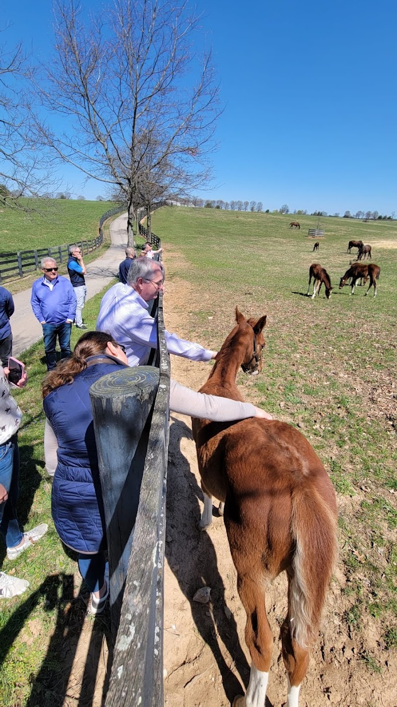 CADIA REHABILITATION SILVERSIDE nursing home in WILMINGTON, DE - Photo 3 of 10