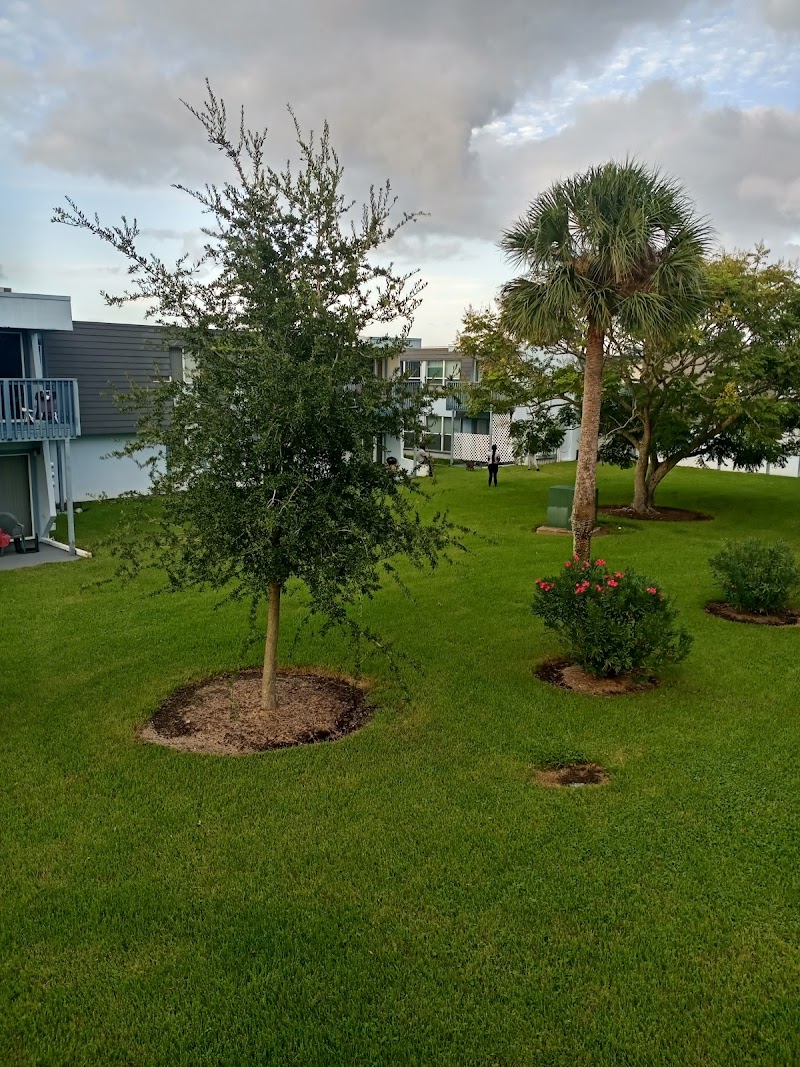 BEACH STREET HEALTH AND REHABILITATION CENTER nursing home in DAYTONA BEACH, FL - Photo 2 of 10