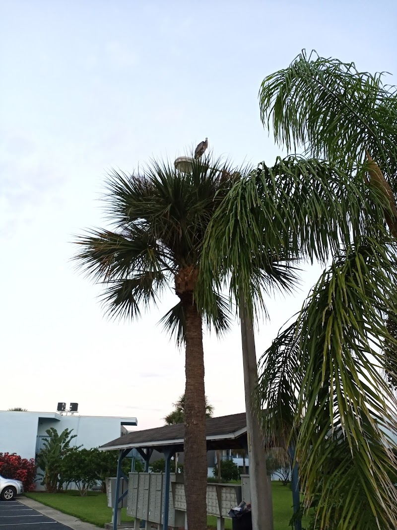 BEACH STREET HEALTH AND REHABILITATION CENTER nursing home in DAYTONA BEACH, FL - Photo 3 of 10
