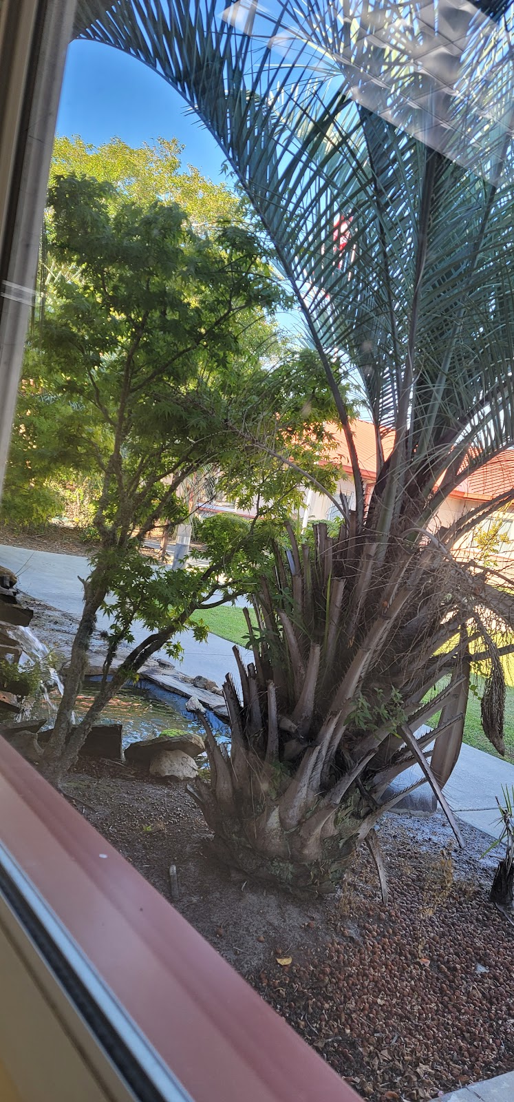 AVIATA AT EMERALD SHORES nursing home in CALLAWAY, FL - Photo 3 of 8