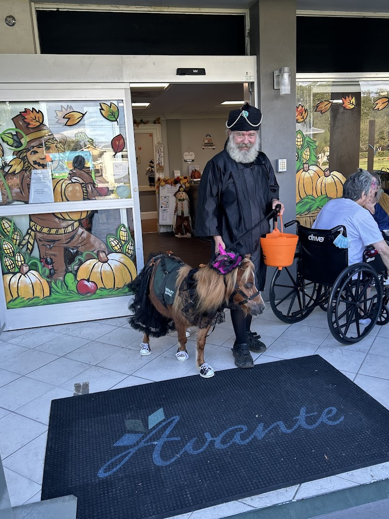 AVANTE AT INVERNESS INC nursing home in INVERNESS, FL - Photo 5 of 10