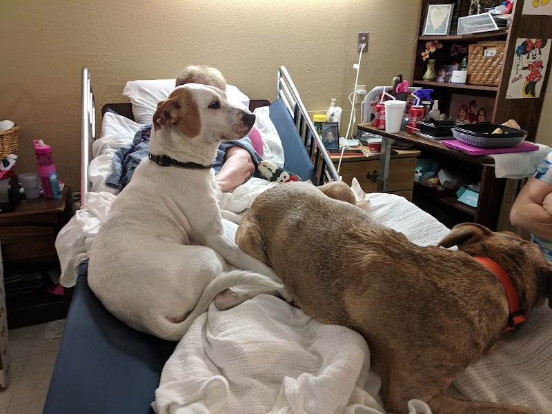 CRYSTAL RIVER HEALTH AND REHABILITATION CENTER nursing home in CRYSTAL RIVER, FL - Photo 4 of 9