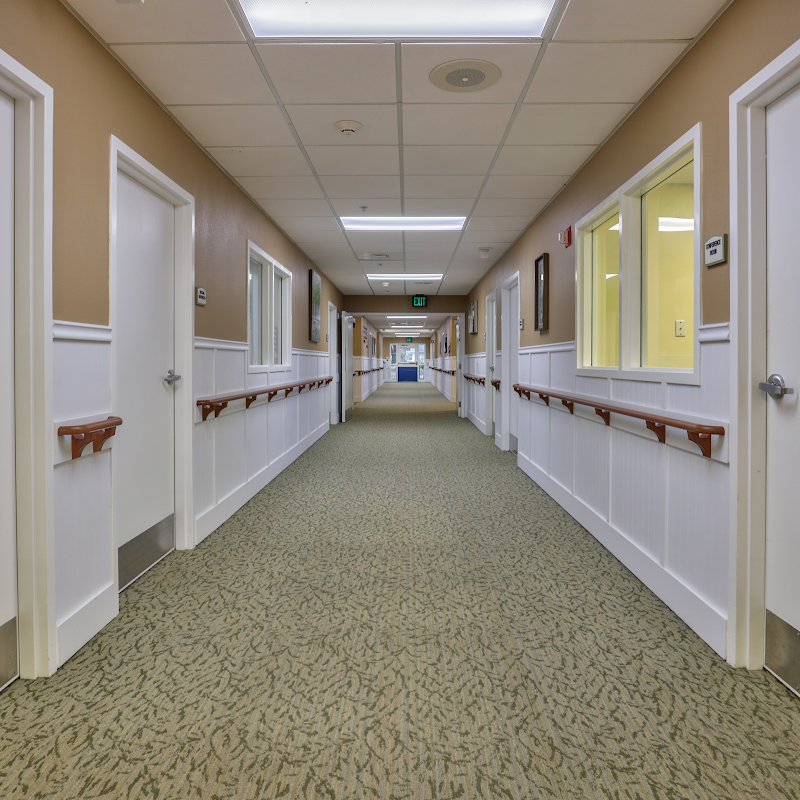 ALLIANCE HEALTH AND REHABILITATION CENTER nursing home in DELAND, FL - Photo 3 of 9
