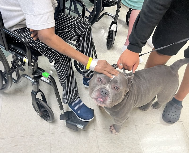 AVIATA AT ROSEWOOD nursing home in ORLANDO, FL - Photo 2 of 5