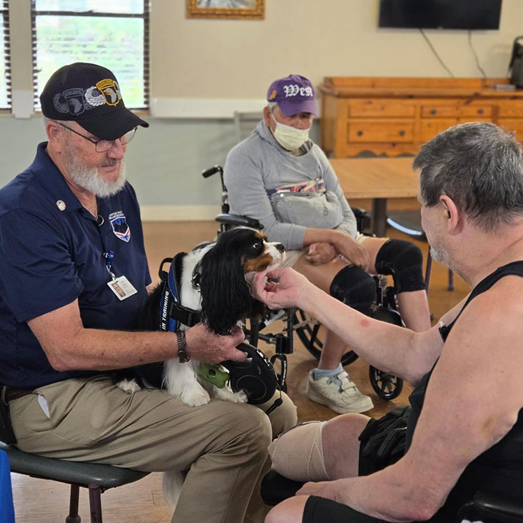 BREEZY HILLS REHAB AND CARE CENTER nursing home in LAKELAND, FL - Photo 3 of 5