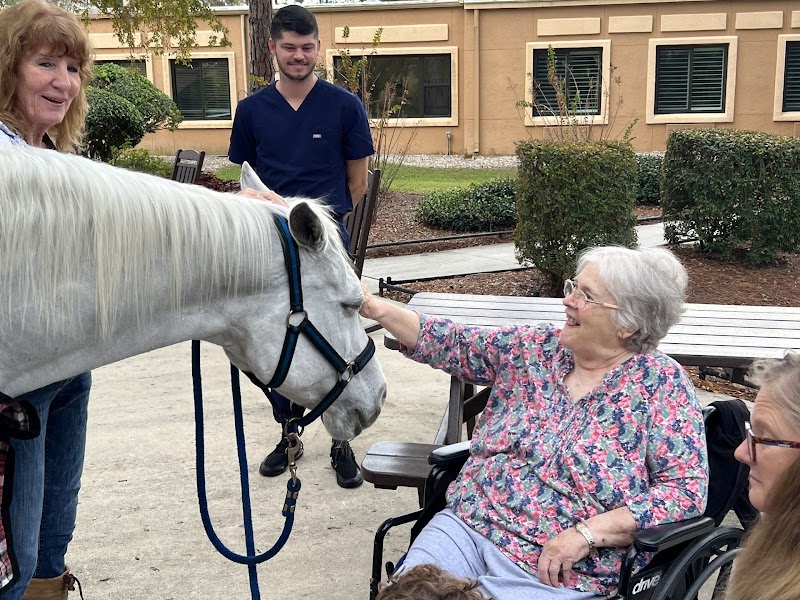 MOULTRIE CREEK NURSING AND REHAB CENTER nursing home in SAINT AUGUSTINE, FL - Photo 4 of 10