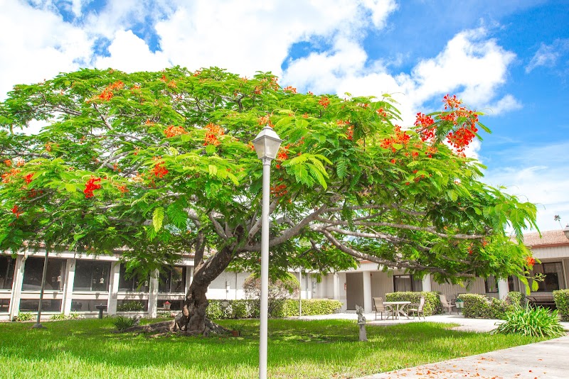 BROOKWOOD GARDENS REHABILITATION AND NURSING CENTE nursing home in HOMESTEAD, FL - Photo 2 of 5